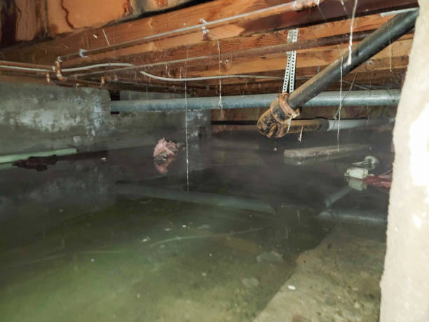 Best Fire Damage Restoration  in Cherokee, NC