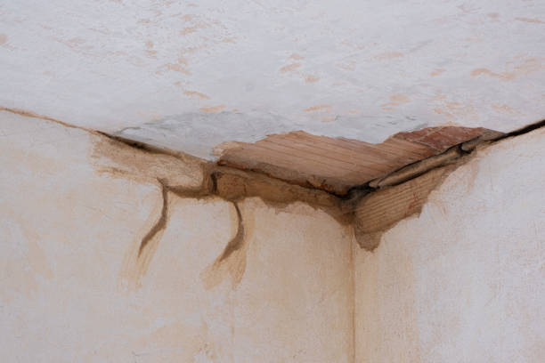 Best Flood restoration services  in Cherokee, NC