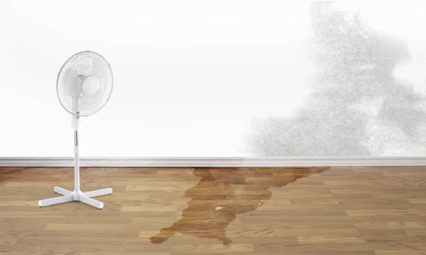 Best Water damage restoration near me  in Cherokee, NC