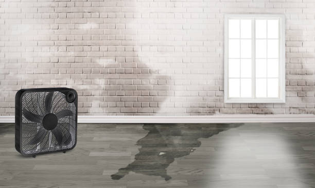 Best Emergency water damage restoration  in Cherokee, NC