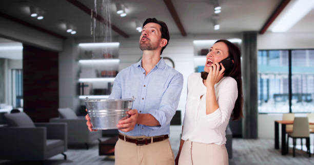 Best Mold removal after water damage  in Cherokee, NC