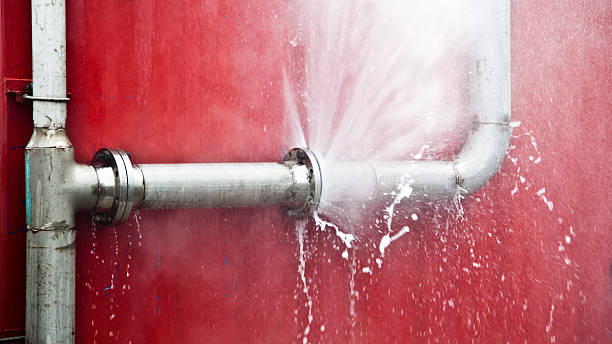 Best Basement water damage restoration  in Cherokee, NC